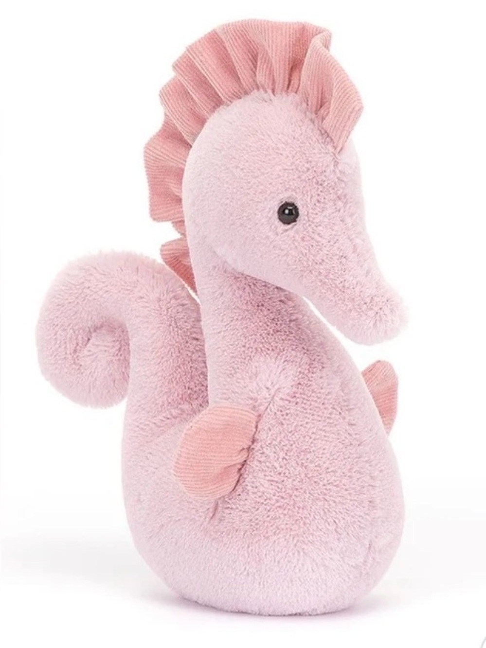 🪸 *Retired* JellyCat Sienna Seahorse Pink & Can You See My Daddy Board Book